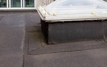 disadvantages of West Camel flat roofs